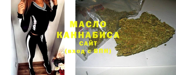 дмт Протвино