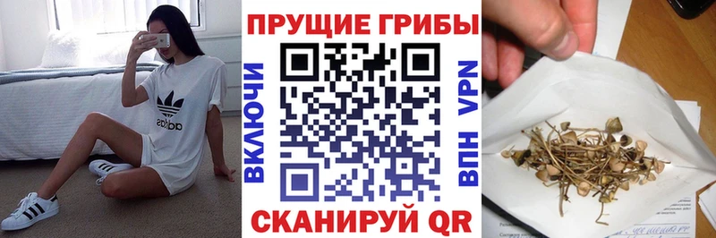 Псилоцибиновые грибы Magic Shrooms Ветлуга